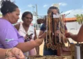 Quebradeiras de coco babaçu recebem reconhecimento oficial como manifestação da cultura nacional - Foto: Dalvanilde Serra/Governo do Tocantins