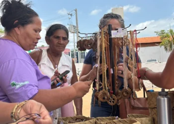 Quebradeiras de coco babaçu recebem reconhecimento oficial como manifestação da cultura nacional - Foto: Dalvanilde Serra/Governo do Tocantins