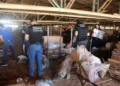 Destruição dos entorpecentes segue os ritos previstos nos artigos 50 e 50-A da Lei de Drogas - Foto: Rozeane Feitosa/Governo do Tocantins