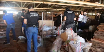 Destruição dos entorpecentes segue os ritos previstos nos artigos 50 e 50-A da Lei de Drogas - Foto: Rozeane Feitosa/Governo do Tocantins