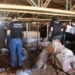 Destruição dos entorpecentes segue os ritos previstos nos artigos 50 e 50-A da Lei de Drogas - Foto: Rozeane Feitosa/Governo do Tocantins