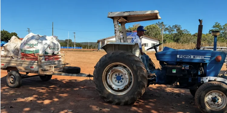 Foto - Divulgação