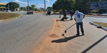 Fotos: Divulgação