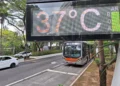Termômetro em canteiro central da Avenida Nove de Julho, em São Paulo