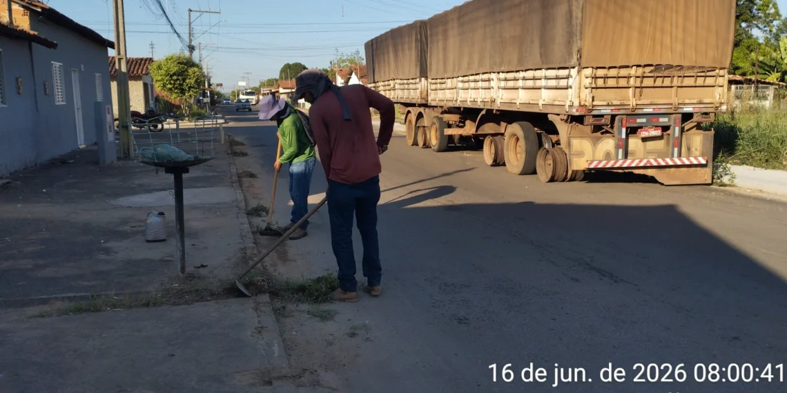 Divulgação