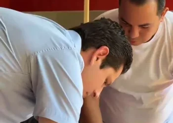 Divulgação