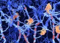 Juan Gaertner/Science Photo Library/Getty Images