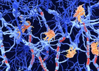Juan Gaertner/Science Photo Library/Getty Images