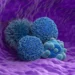 Nemes Laszlo/Science Photo Library/Gettyimages