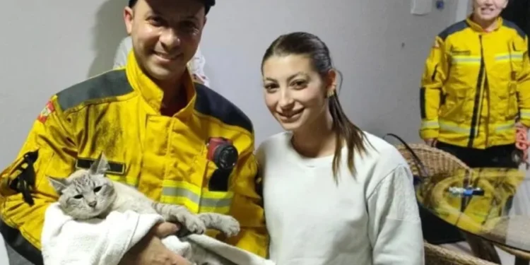 Reprodução/NSC Total