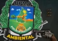 Foto: Ascom BPMA