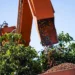 Foto: Wenderson Araujo / CNA