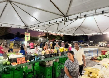 Foto: Lumara Brito