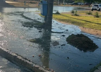 Crédito: Divulgação Secom Palmas