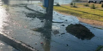 Crédito: Divulgação Secom Palmas