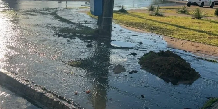 Crédito: Divulgação Secom Palmas