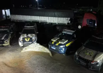 239 quilos de pasta base de cocaína foram apreendidos pela PM e PRF, em Alvorada (TO) — Foto: Divulgação/PMTO