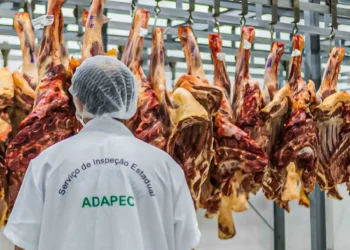 Foto: Adapec/Governo do Tocantins