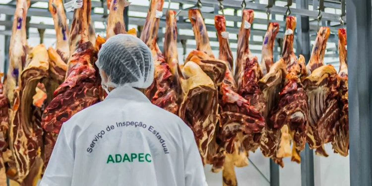 Foto: Adapec/Governo do Tocantins