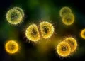 Kateryna Kon/Science Photo Library/Getty Images