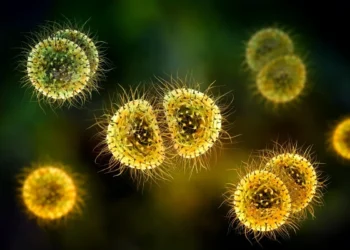 Kateryna Kon/Science Photo Library/Getty Images