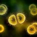 Kateryna Kon/Science Photo Library/Getty Images
