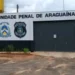 Foto: Divulgação/Seciju