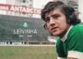 Reprodução / Palmeiras