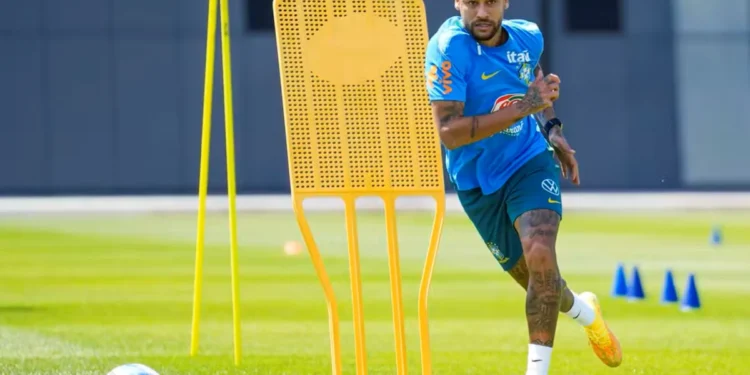 Nelson Terme / CBF