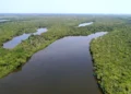 Governo do Tocantins institui Programa de Conversão de Multas Ambientais em bens e serviços para recuperação e conservação ambiental (Fernando Alves/Governo do Tocantins)