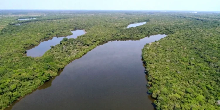 Governo do Tocantins institui Programa de Conversão de Multas Ambientais em bens e serviços para recuperação e conservação ambiental (Fernando Alves/Governo do Tocantins)
