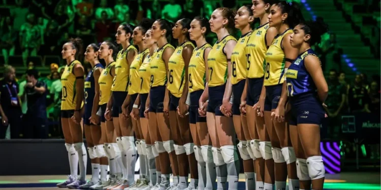 Divulgação / VNL