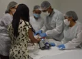 Equipe multiprofissional realiza atendimento semanal, contribuindo para mais segurança e qualidade de vida dos pacientes. - Luciana Barros / Governo do Tocantins