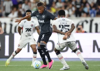 Vitor Silva/Botafogo