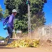 Foto: Divulgação Zeladoria