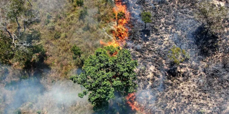 Governo do Tocantins