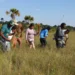 Foto: Divulgação/Naturatins