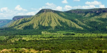 Foto: Márcio Di Pietro/Governo do Tocantins