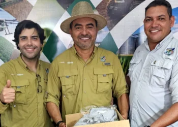 Nielcem Fernandes/Governo do Tocantins