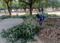 Foto: Divulgação Zeladoria
