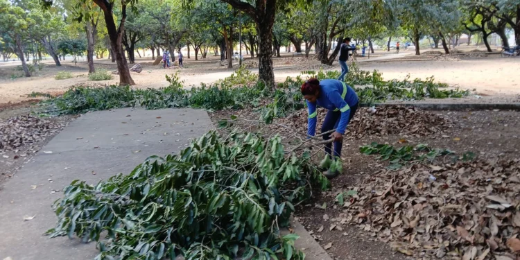 Foto: Divulgação Zeladoria