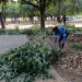 Foto: Divulgação Zeladoria