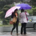 Rafaela Feliccianp/Metrópoles