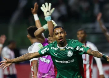 Cesar Greco/Palmeiras