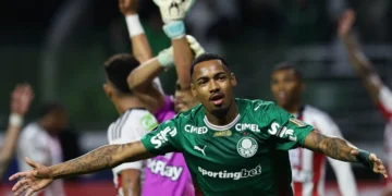 Cesar Greco/Palmeiras