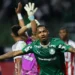 Cesar Greco/Palmeiras