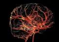 Kateryna Kon/Science Photo Library/Getty Images