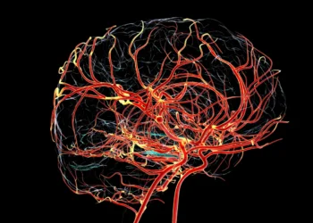 Kateryna Kon/Science Photo Library/Getty Images