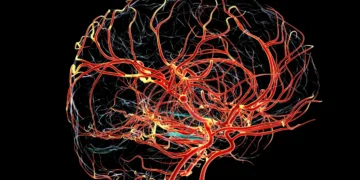 Kateryna Kon/Science Photo Library/Getty Images