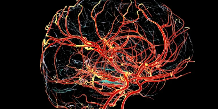 Kateryna Kon/Science Photo Library/Getty Images